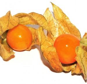 Physalis i Mangostan - nowe owoce w ofercie Tesco
